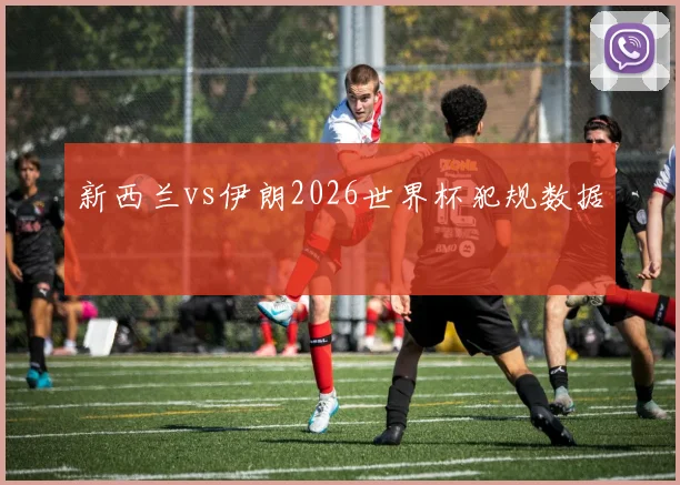 新西兰vs伊朗2026世界杯犯规数据