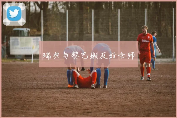 瑞典与黎巴嫩友好会师