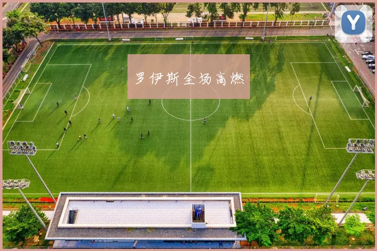 罗伊斯全场高燃