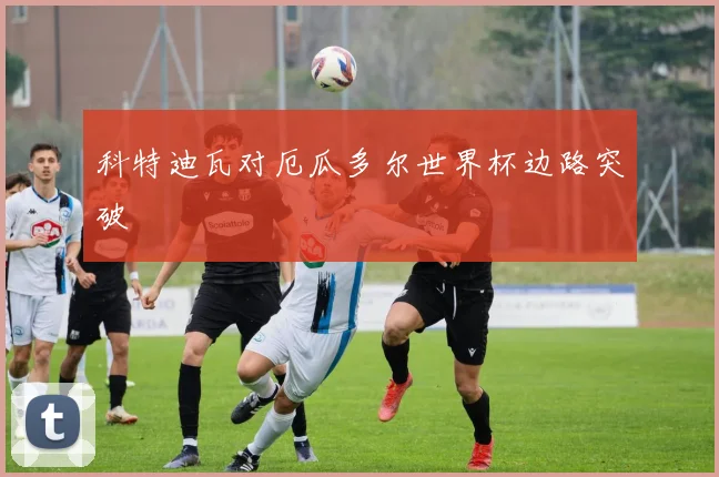 科特迪瓦对厄瓜多尔世界杯边路突破