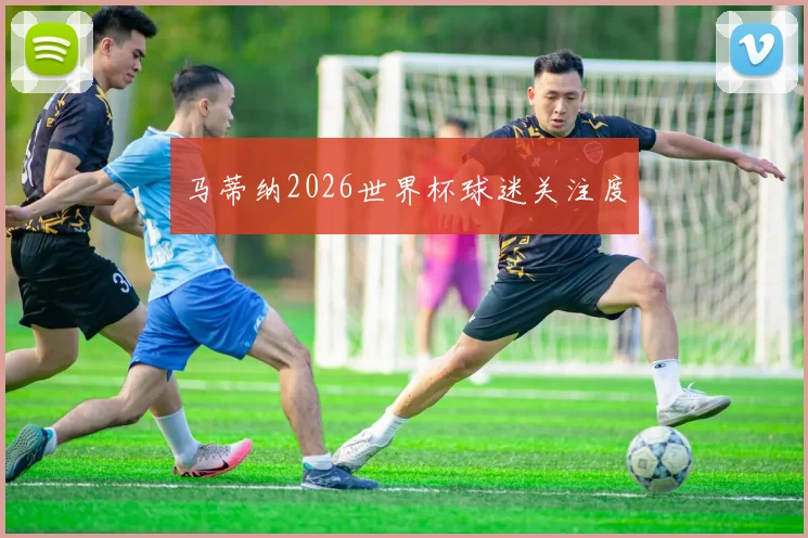 马蒂纳2026世界杯球迷关注度
