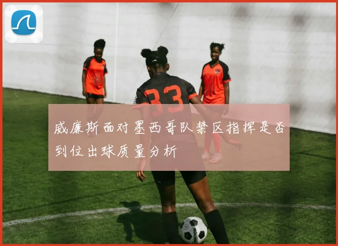 威廉斯面对墨西哥队禁区指挥是否到位出球质量分析