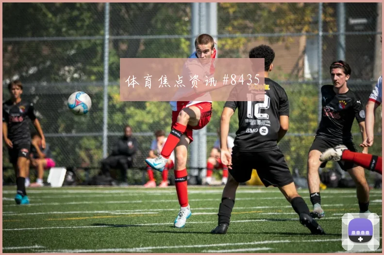 卡塔尔vs加拿大2026世界杯小组排名