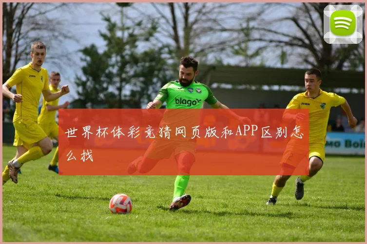 世界杯体彩竞猜网页版和APP区别怎么找