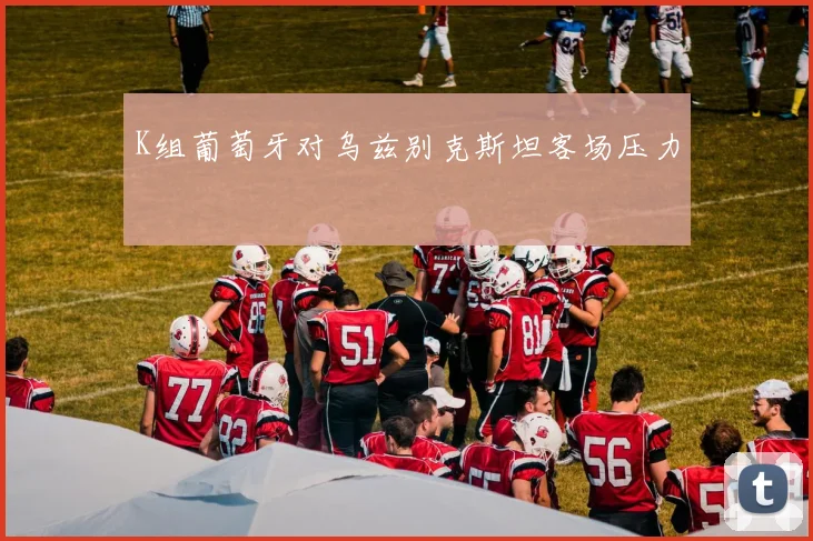 K组葡萄牙对乌兹别克斯坦客场压力