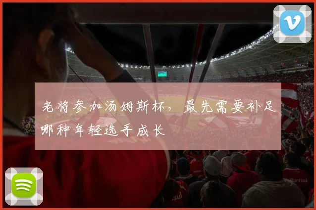 老将参加汤姆斯杯，最先需要补足哪种年轻选手成长